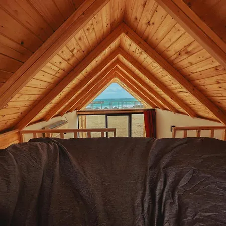 Kackar Kamp Istanbul Domalı